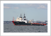 MAGNUS   9344966